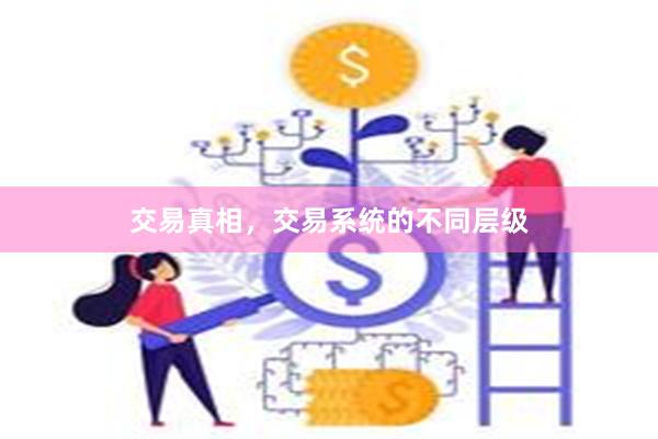 交易真相，交易系统的不同层级