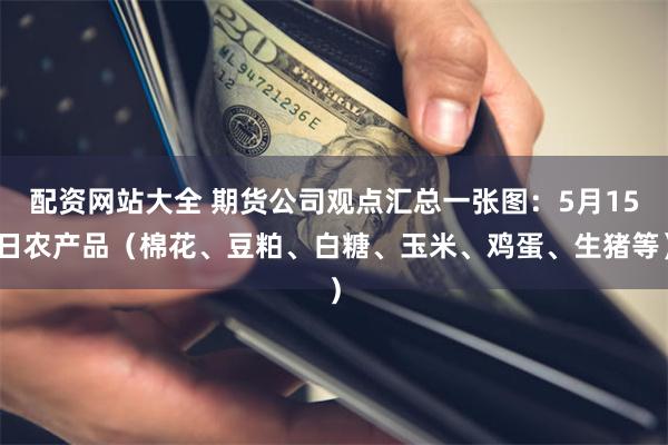 配资网站大全 期货公司观点汇总一张图：5月15日农产品（棉花、豆粕、白糖、玉米、鸡蛋、生猪等）