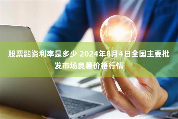 股票融资利率是多少 2024年8月4日全国主要批发市场良薯价格行情