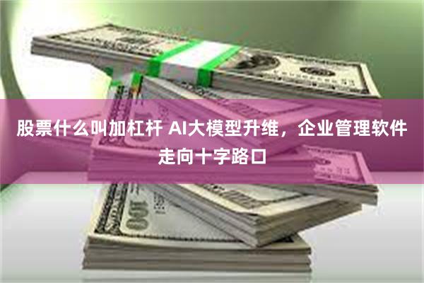 股票什么叫加杠杆 AI大模型升维，企业管理软件走向十字路口