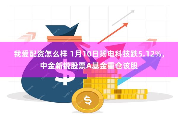 我爱配资怎么样 1月10日扬电科技跌5.12%，中金新锐股票A基金重仓该股