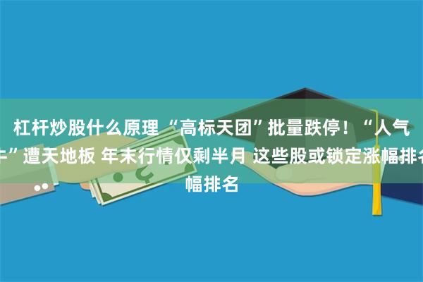 杠杆炒股什么原理 “高标天团”批量跌停！“人气牛”遭天地板 年末行情仅剩半月 这些股或锁定涨幅排名