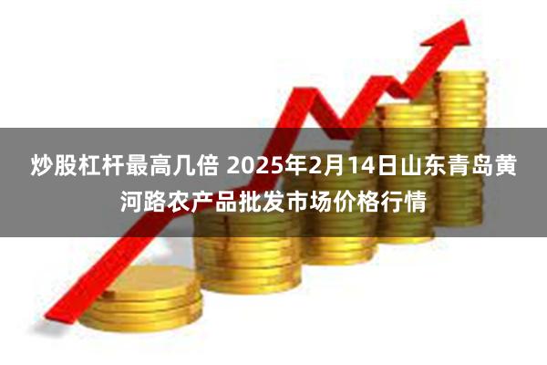 炒股杠杆最高几倍 2025年2月14日山东青岛黄河路农产品批发市场价格行情